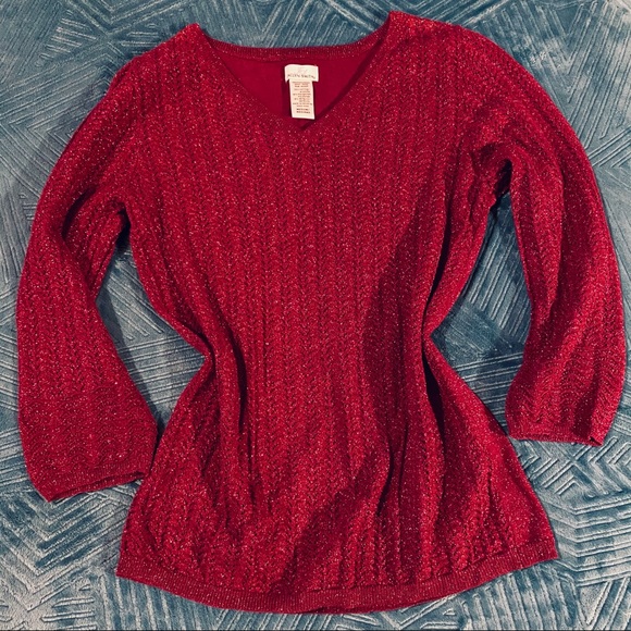 Jaclyn Smith Sweaters - ❤️Jaclyn Smith Sparkle Sweater